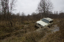 IMG_ (42)